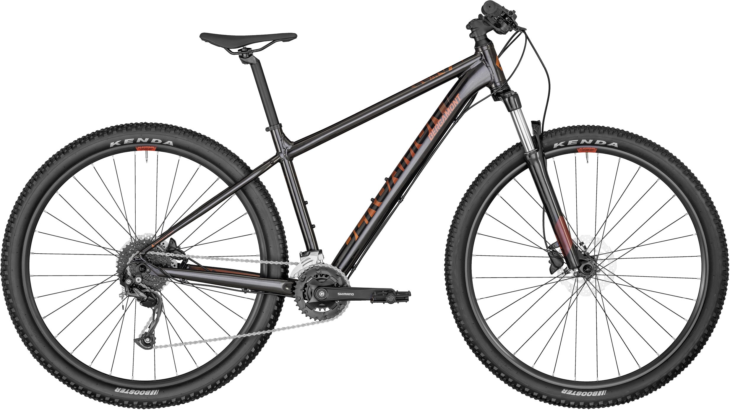 Bergamont Revox 4