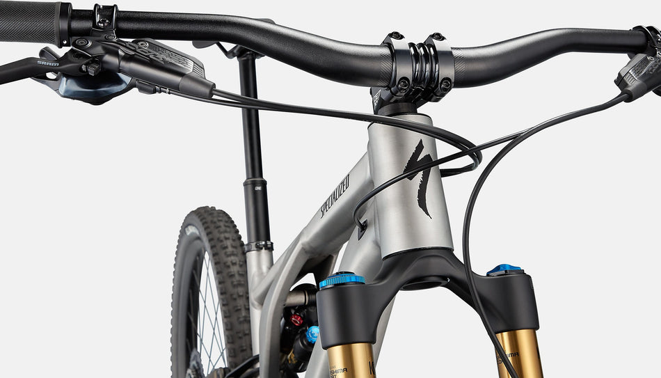 Specialized Stumpjumper EVO Elite Alloy
