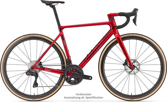 Wilier Verticale SLR - Super Record WRL 2x13 - Kleos RD36