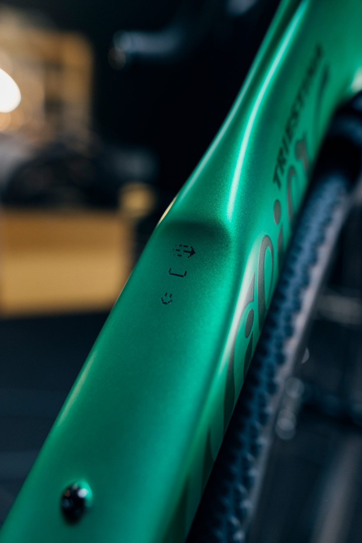Wilier Rave SLR ID2 Inspiration